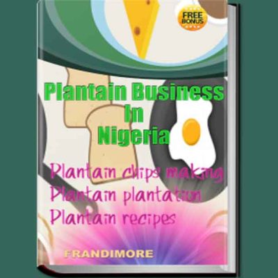 plantain chips business in Nigeria ebook