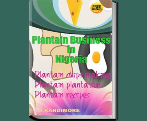 plantain chips business in Nigeria ebook