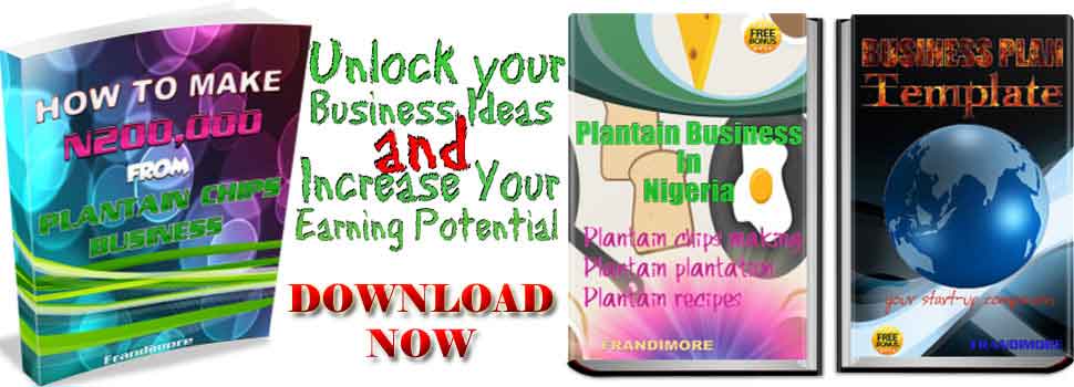ebooks on plantain chips business