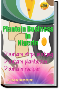 PLANTAIN CHIPS BUSINESS eBOOK