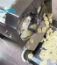 Electric automatic plantain Multi chips cutting machine 1