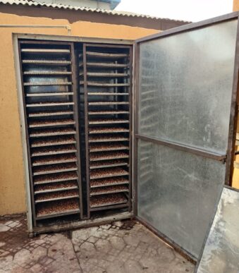 Cashew inside chamber for humidifying process