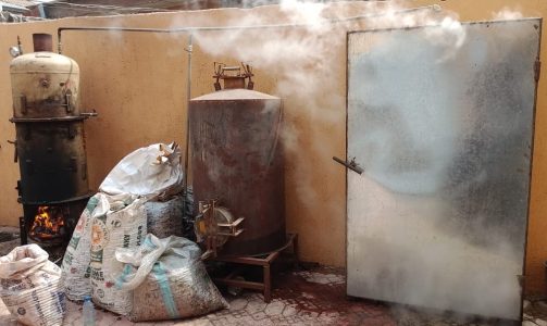 Cashew nut production