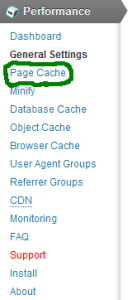 Page cache